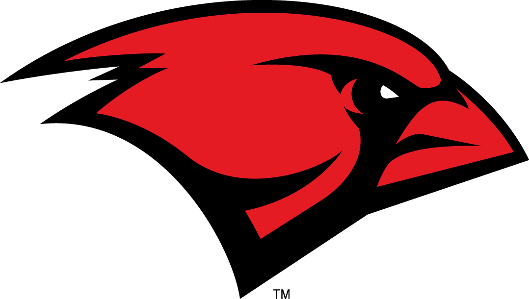 Incarnate Word Cardinals iron ons